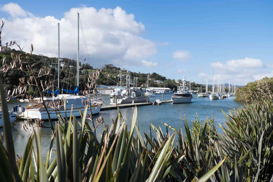 Marina di Whangarei Nuova Zelanda