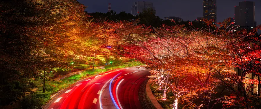 3440x1440 Fall