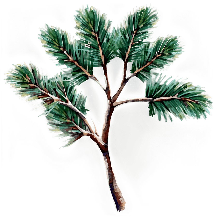 Watercolor Tree Branches PNG jpe88