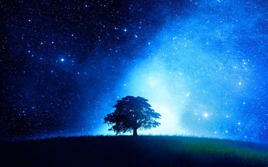 Lindopapel de parede Estrela 1680 x 1050