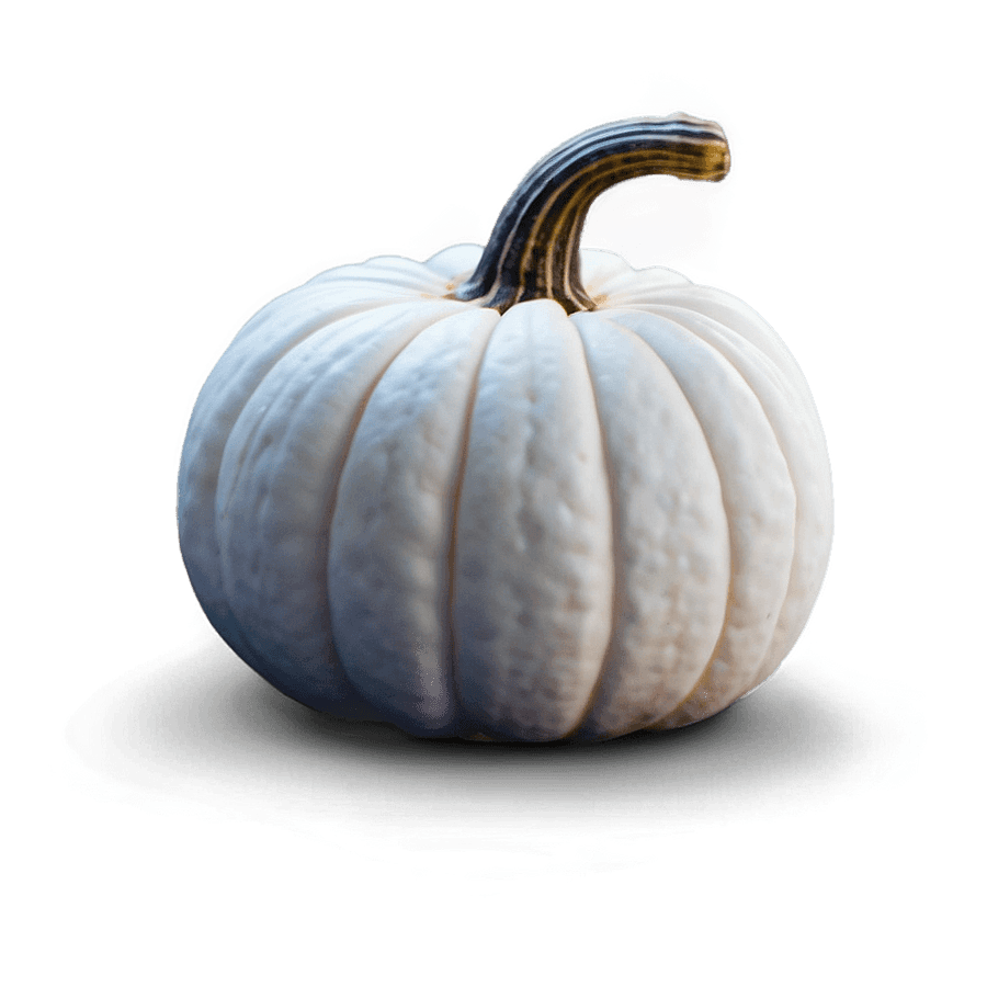 White Pumpkin PNG rlu82
