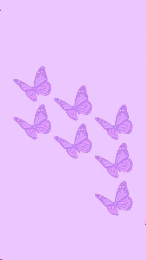 Solid Light Purple