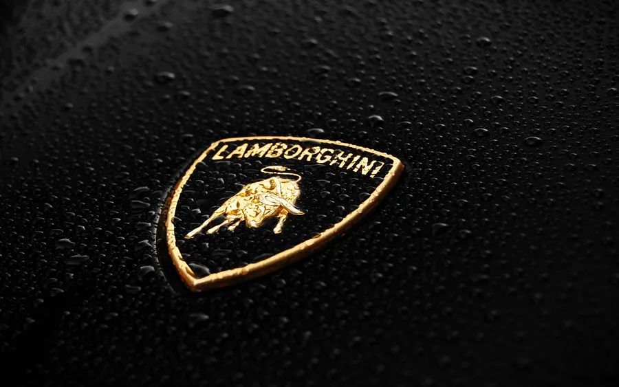 Logo pictures