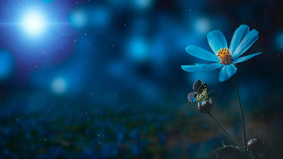 Blue Flower Desktop