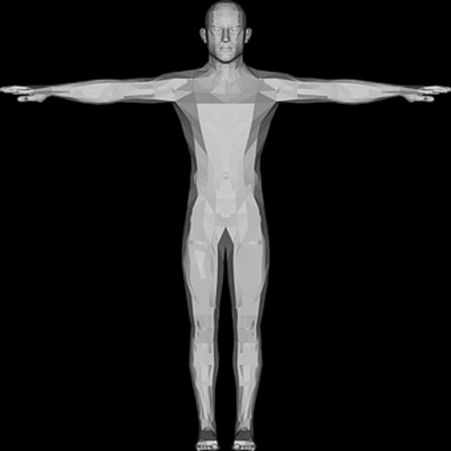 Geometric Man Model Xray View