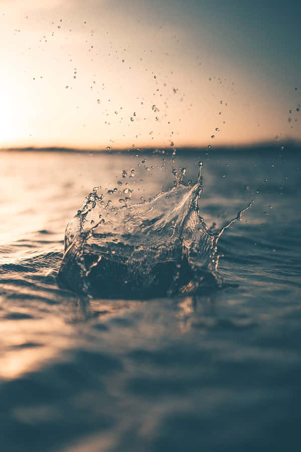 Laven splash!