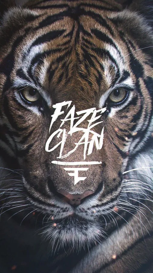 Faze Rug