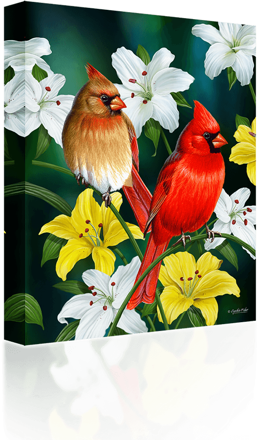 Cardinalsand Lilies Artwork