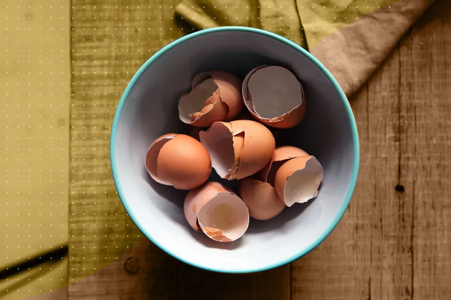 Egg background