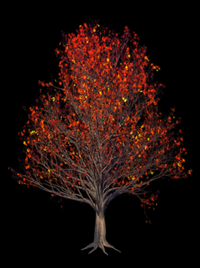 Autumn Tree Red Leaves Black Background