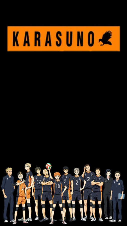 Squadra di Pallavolo Karasuno High Haikyuu