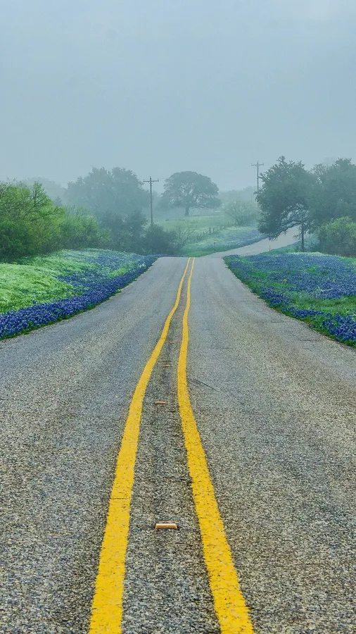 Texas Iphone
