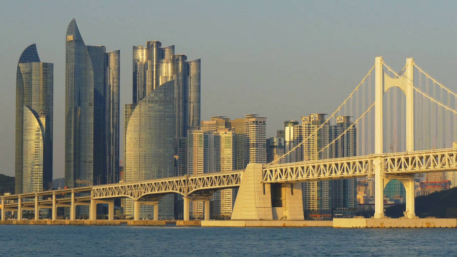 Edificiosde Torre de Busan