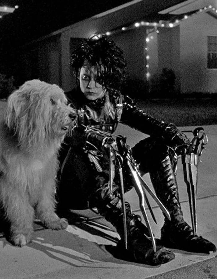 Download Edward Scissorhands With A Dog Wallpaper | Wallpapers.com