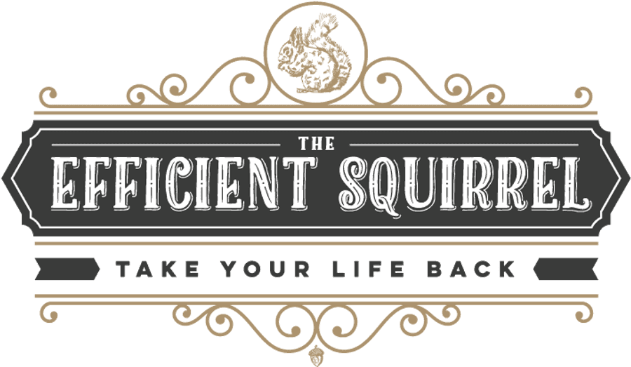 Efficient Squirrel Logo
