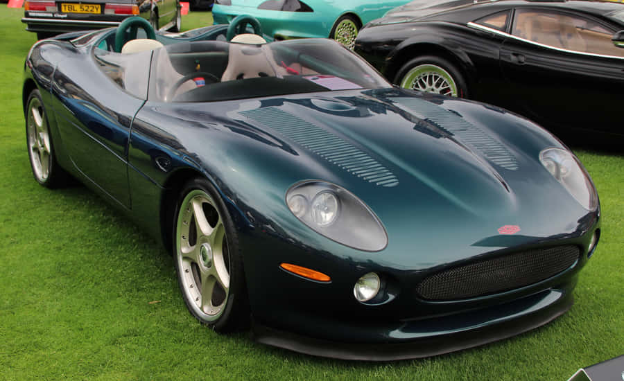 Jaguar XK Cabrio auf grünem Gras