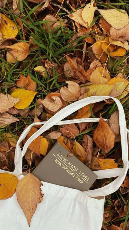 Herbstblätter und Tragetasche im Grunge-Stil