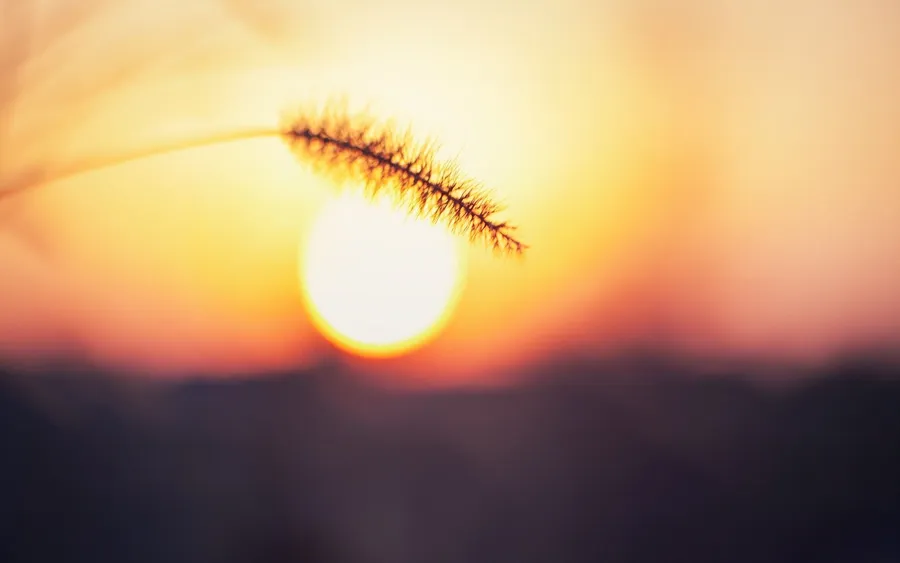 Sun Background