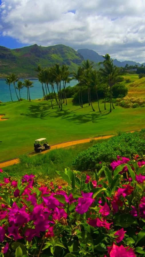Papelde Parede do Campo de Golfe Android com Flores Rosa