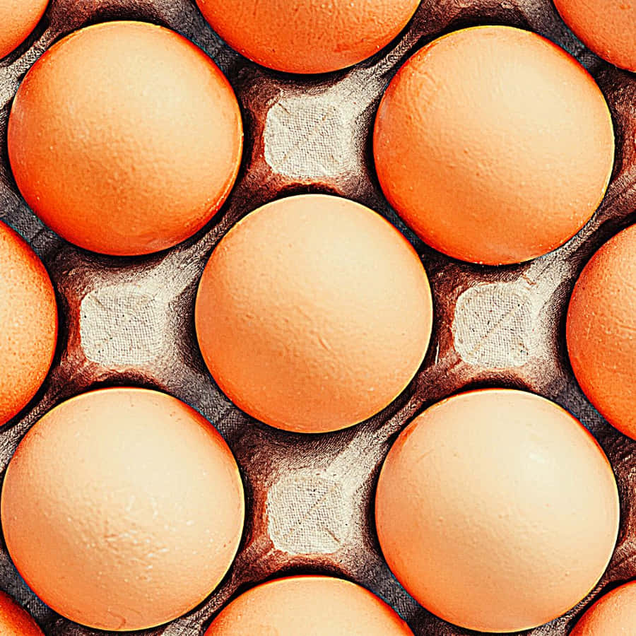 Egg background