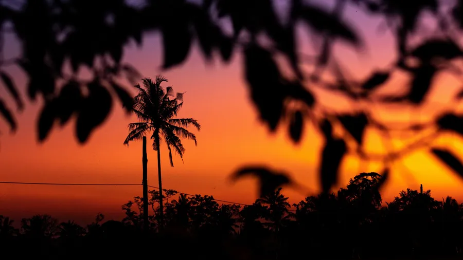 Uhd background