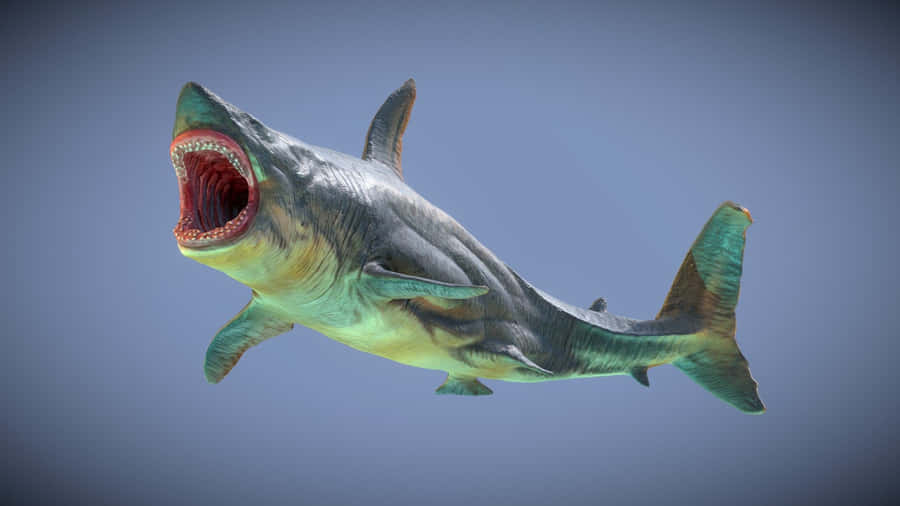 3D-renderbillede af megalodon-havdyr lad skærmen få fart.