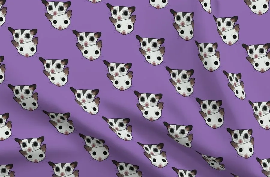 Sugar Glider background