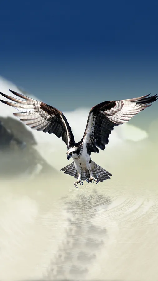 Eagle Iphone