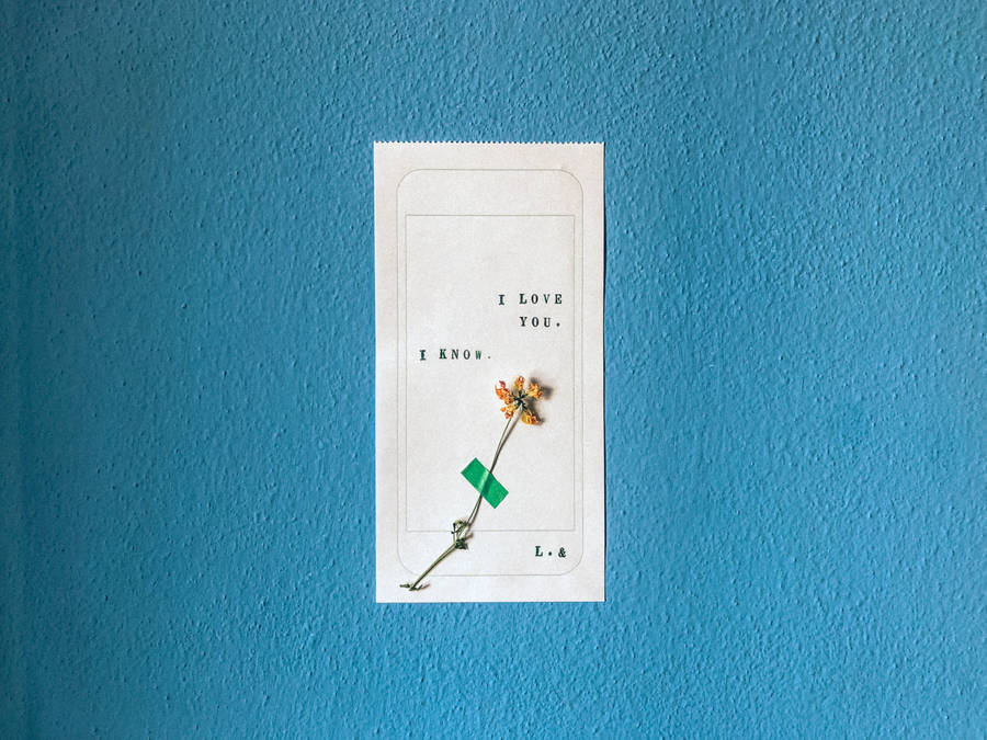 Preview wallpaper love, inscription, flower, minimalism