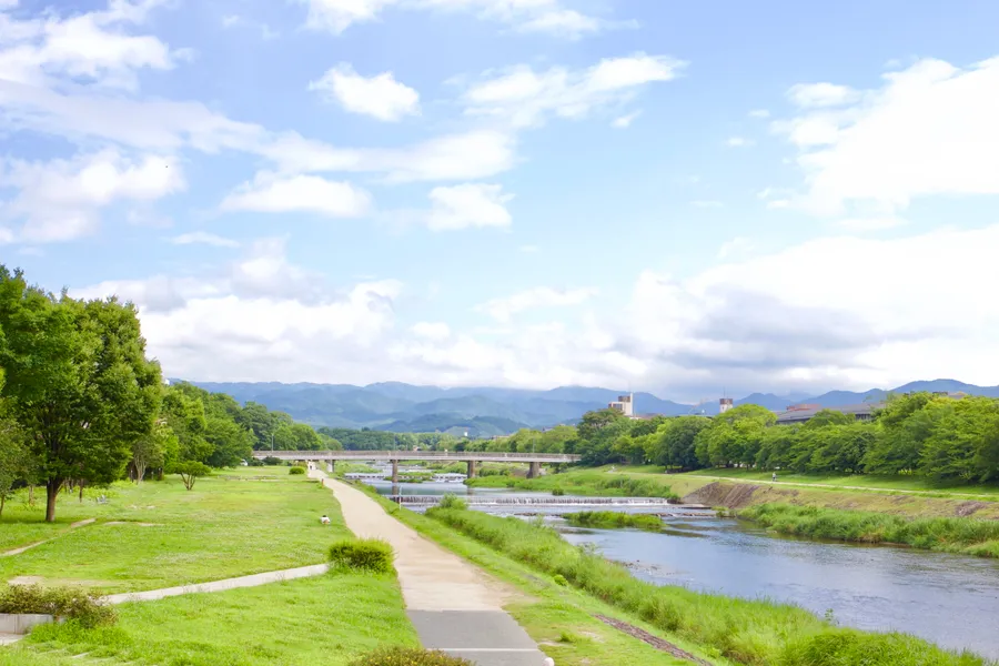 Country Summer River Path