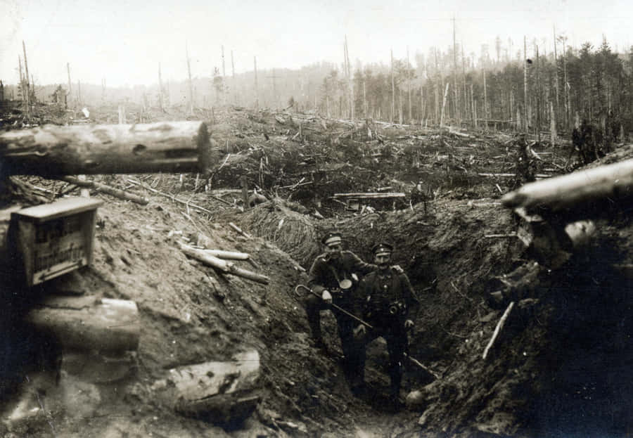 Devastação no Campo de Batalha da Primeira Guerra Mundial