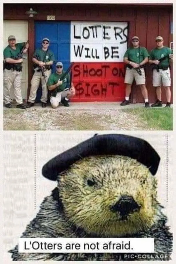 Funny pictures