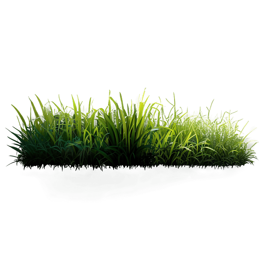 Vibrant Grass Patch PNG vhb