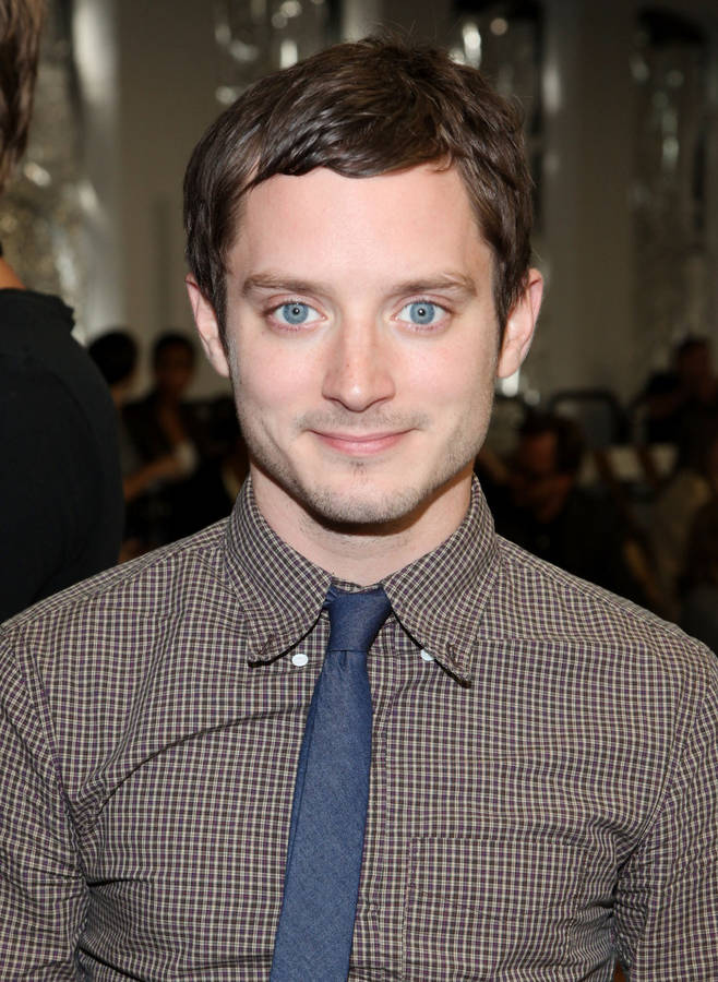 Download Elijah Wood In Brown Checkered Long Sleeve With Necktie