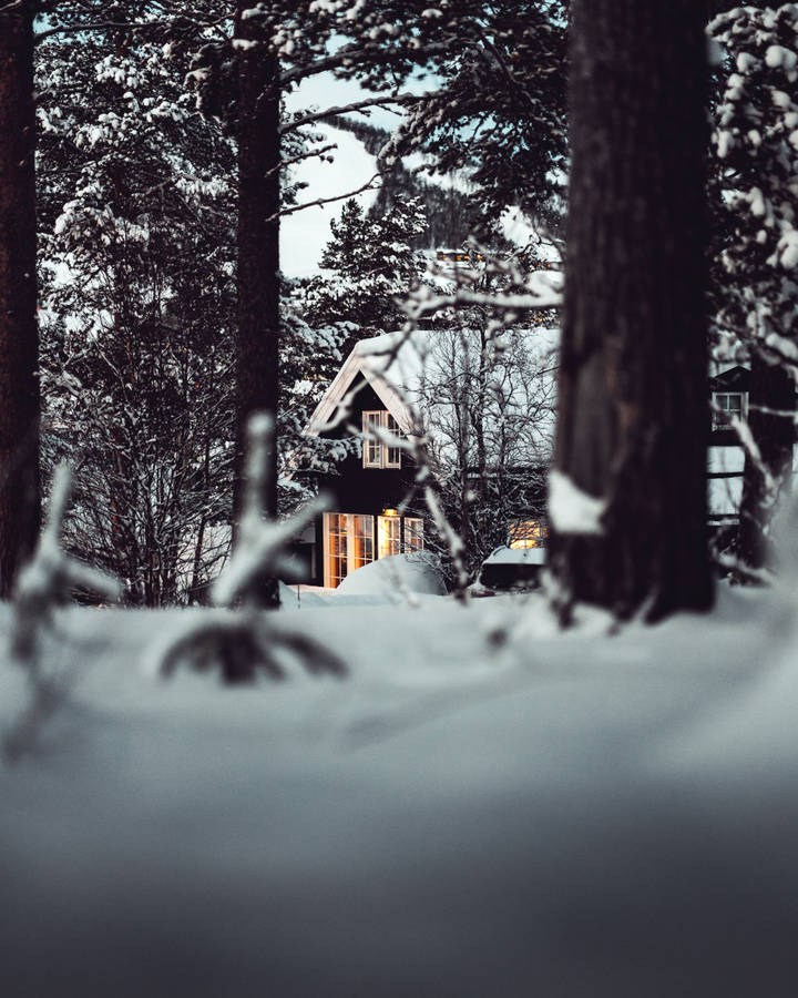 Preview wallpaper house, forest, snow, winter