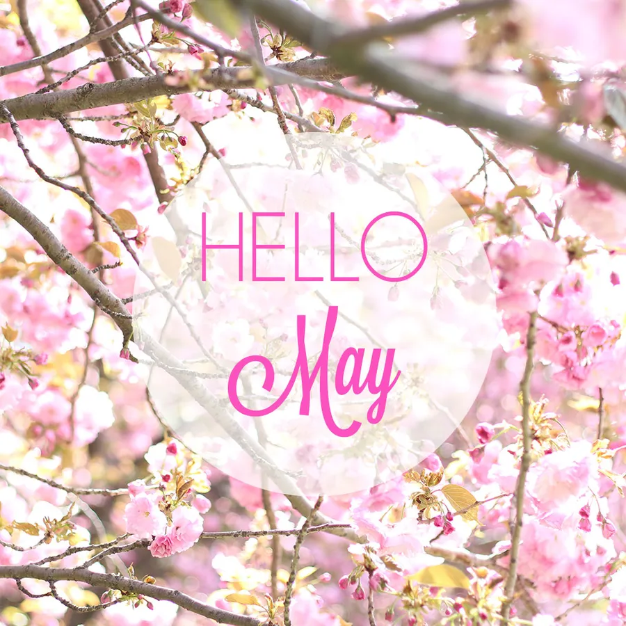 May pictures