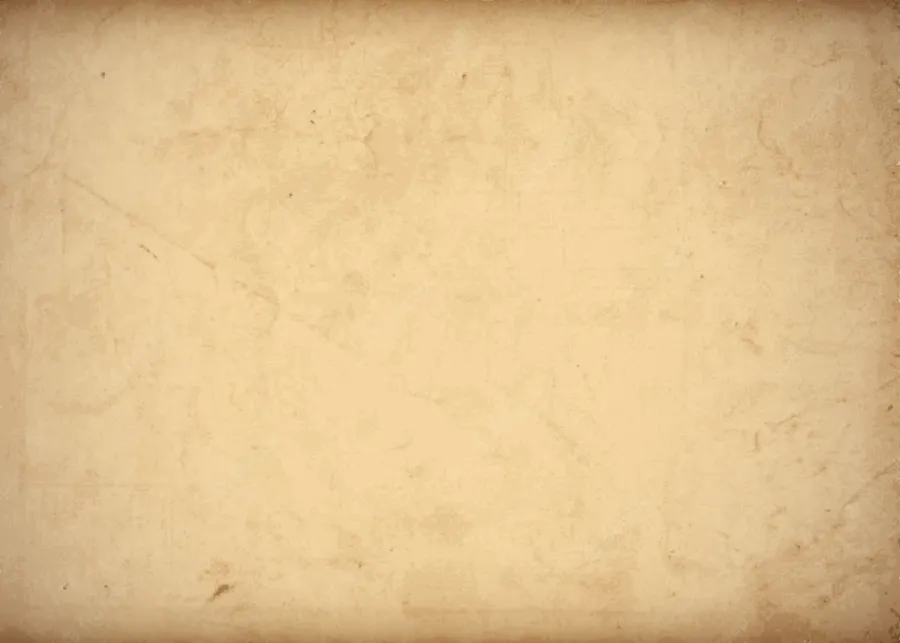 Vintage Plain Old Paper wallpaper