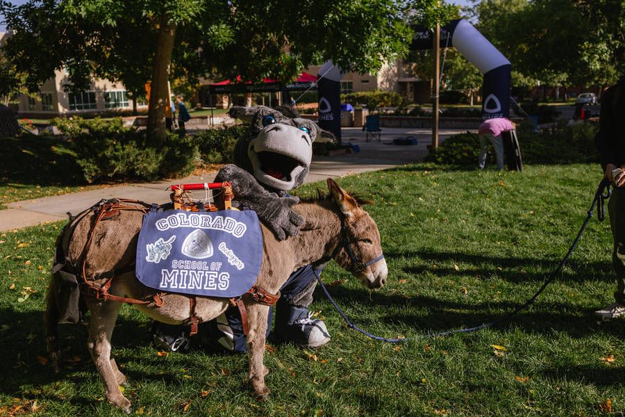 Duas mascotes da Colorado School Of Mines
