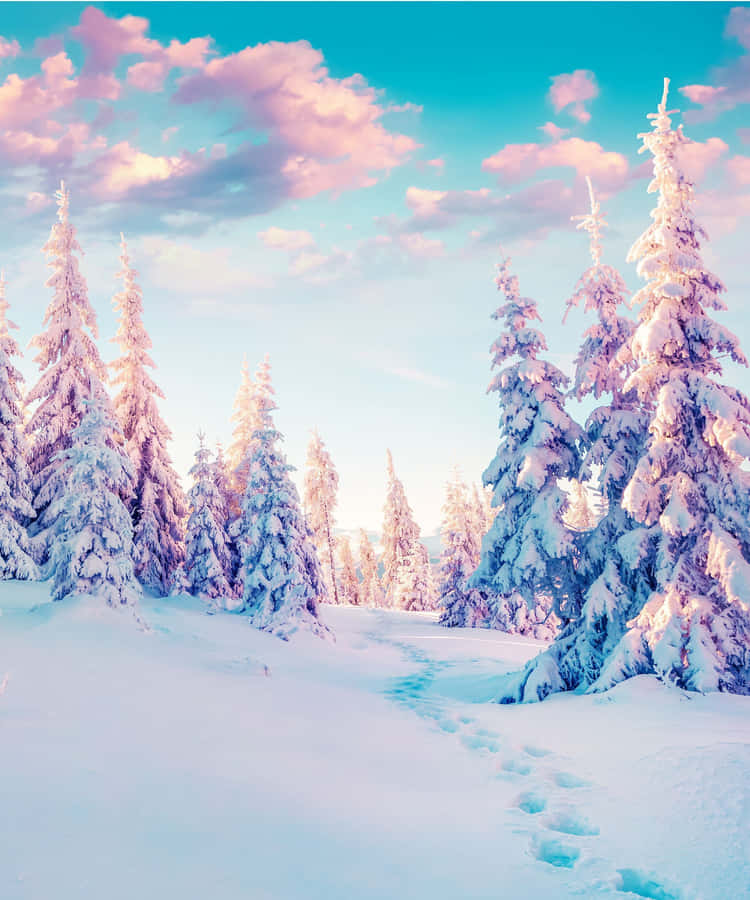 Incantevolenotte del solstizio d'inverno