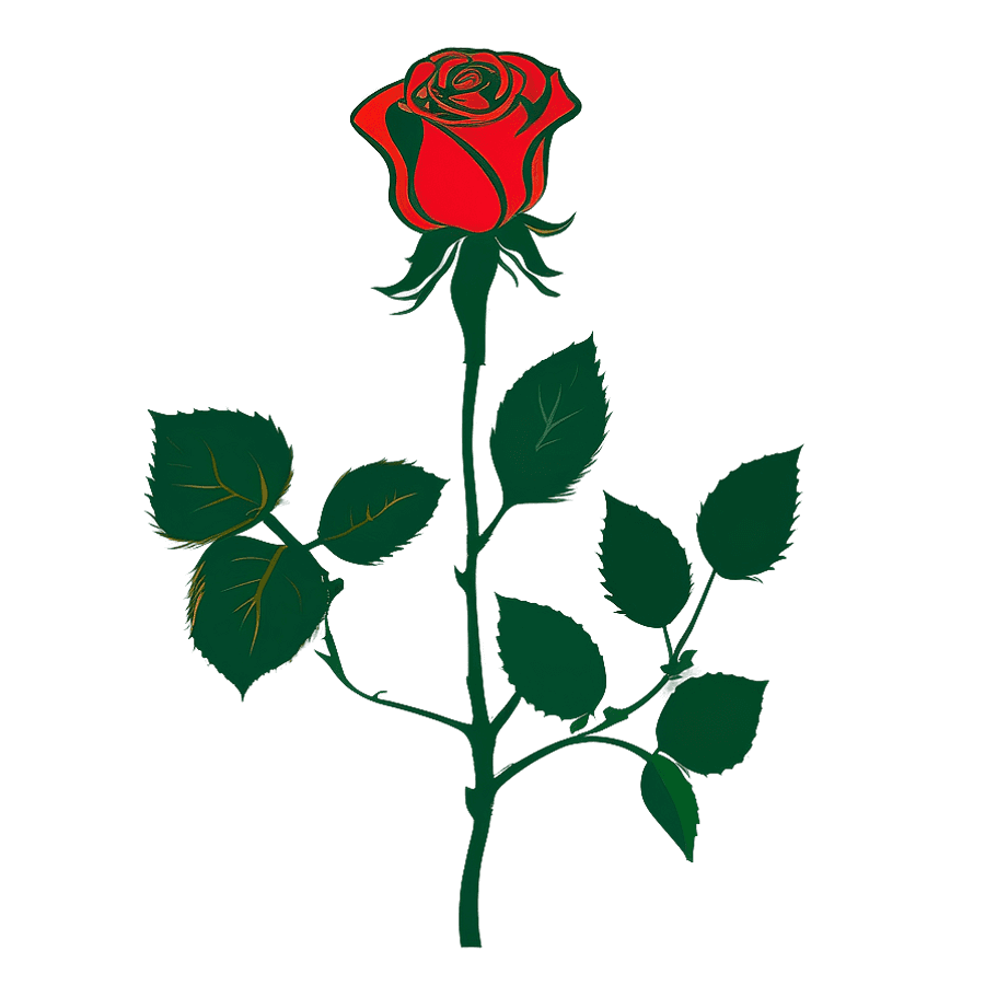 Vector Rose Silhouette PNG odr