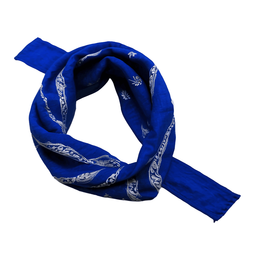 Prussian Blue Bandana Scheme PNG 05232024