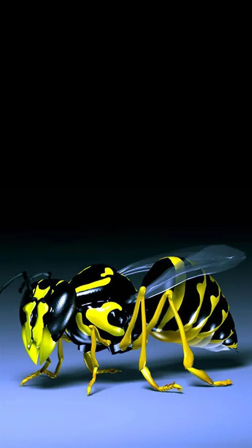 1080x1920