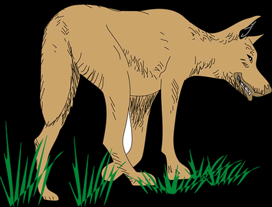 Stylized Wolf Illustration