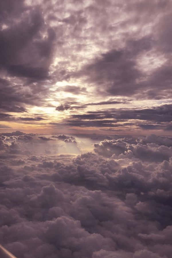 Goditila bellezza della natura