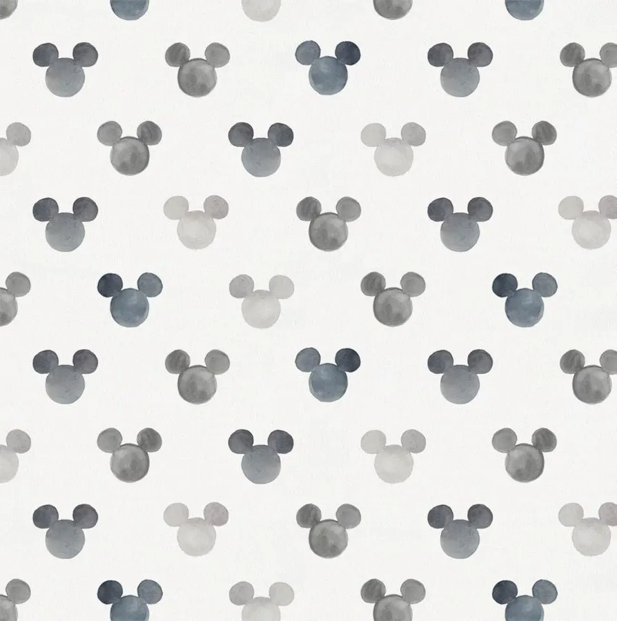 Mickey Mouse Ears