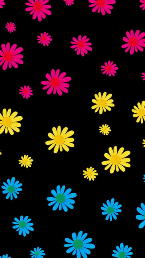 Bunte Gänseblümchen auf schwarzem Hintergrund