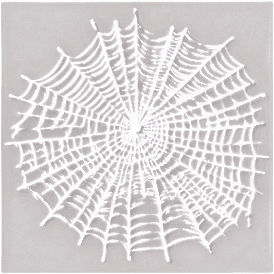 Realistic Spiderweb PNG vkl61