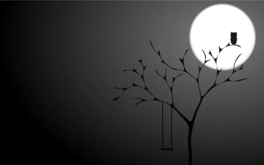 Owl background
