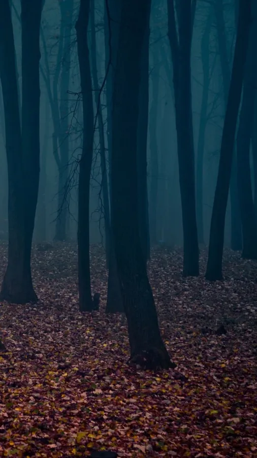 Spooky Aesthetic
