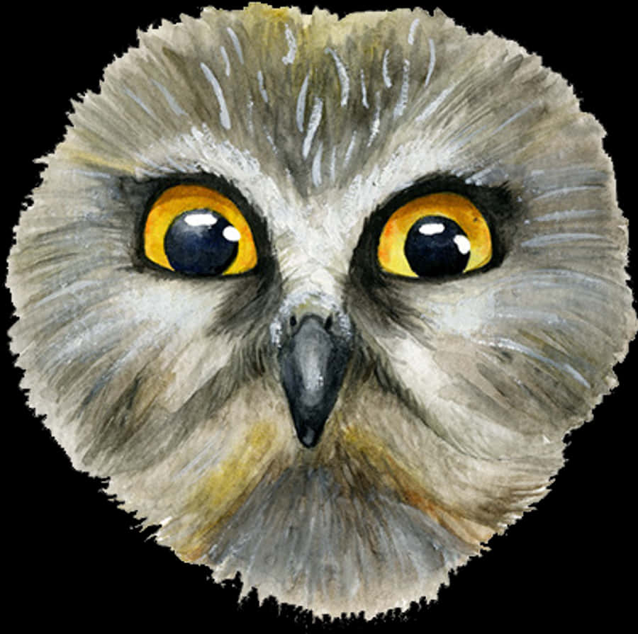 Intense Eyed Owl Watercolor